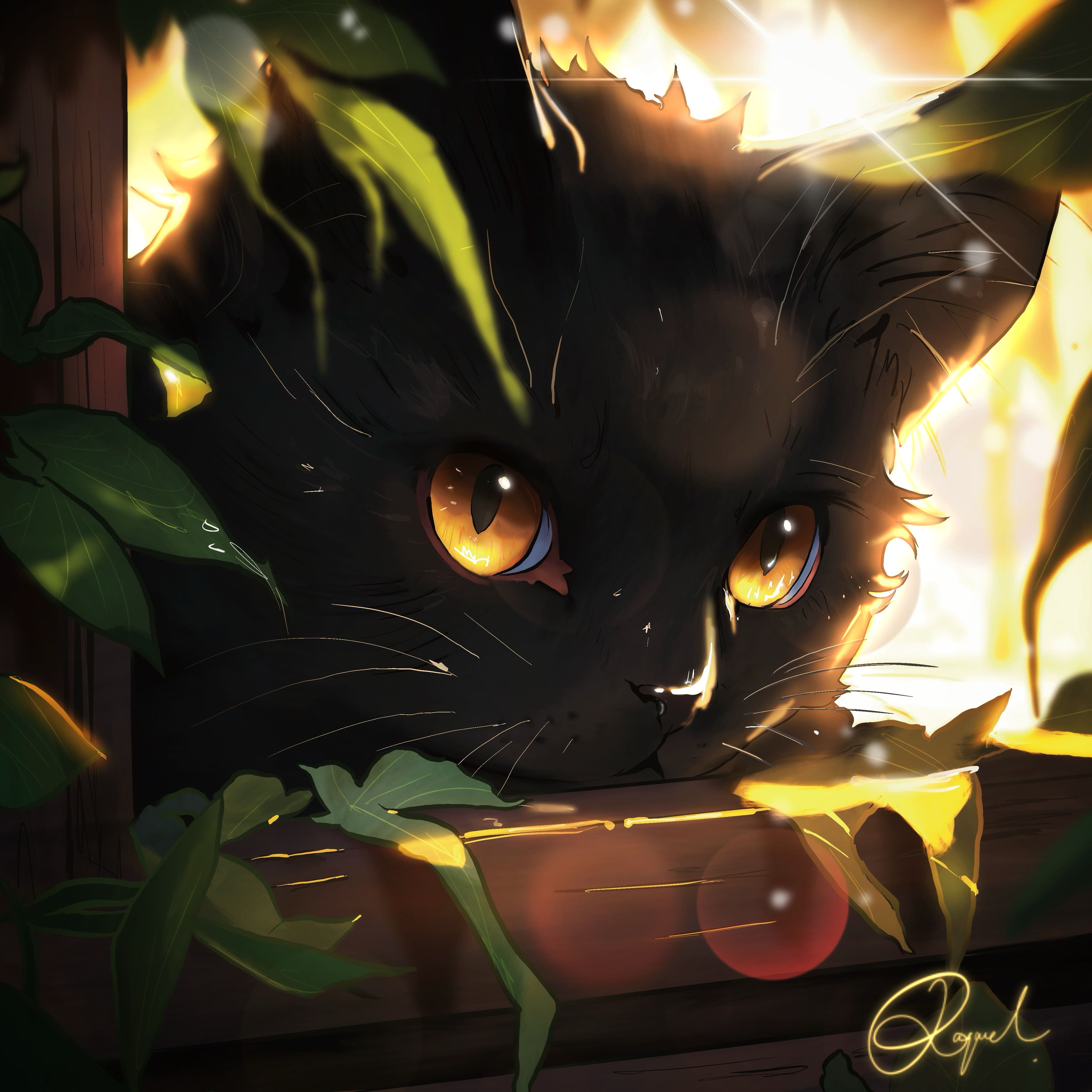 Ilustraciones 3